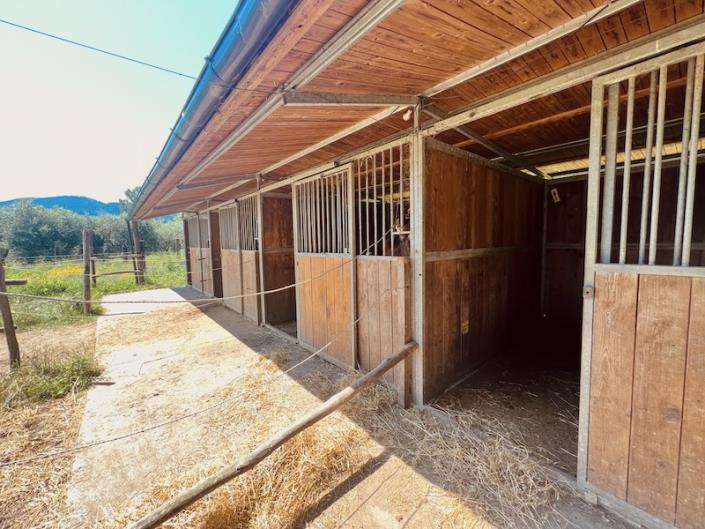 Image No.11-Ferme de 3 chambres à vendre à Capannori