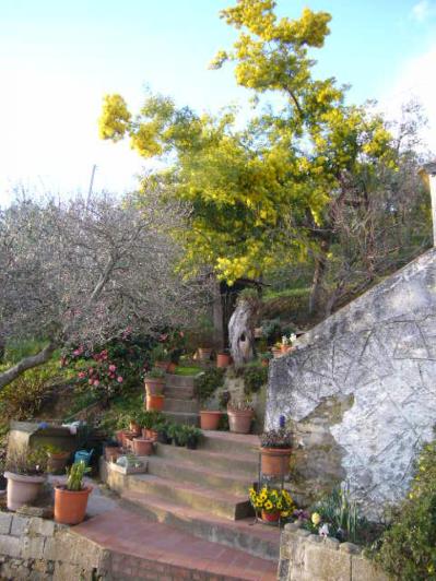 Image No.13-Maison de 3 chambres à vendre à Montecatini Terme