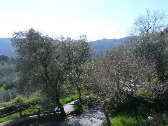 Image No.20-Maison de 3 chambres à vendre à Montecatini Terme