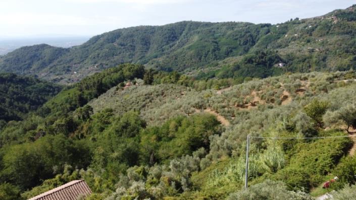 Image No.11-Maison de 3 chambres à vendre à Montecatini Terme