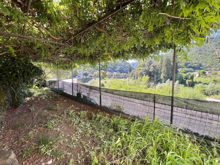 Image No.14-Appartement de 2 chambres à vendre à Bagni di Lucca