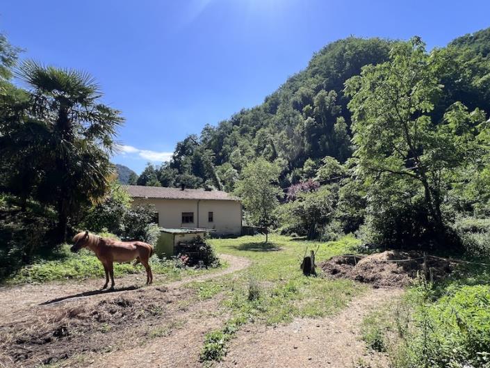 Image No.10-Maison de 3 chambres à vendre à Bagni di Lucca