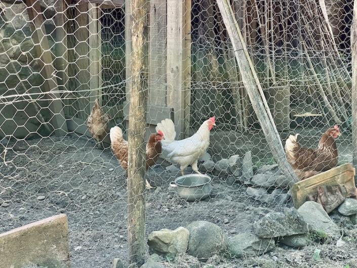 Image No.35-Maison de 2 chambres à vendre à Bagni di Lucca