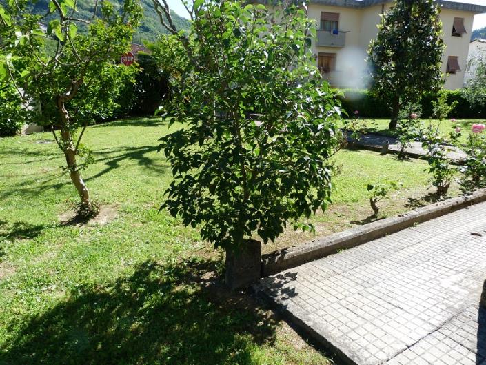 Image No.19-Villa de 4 chambres à vendre à Borgo a Mozzano