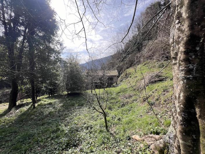 Image No.51-3 Bed House for sale