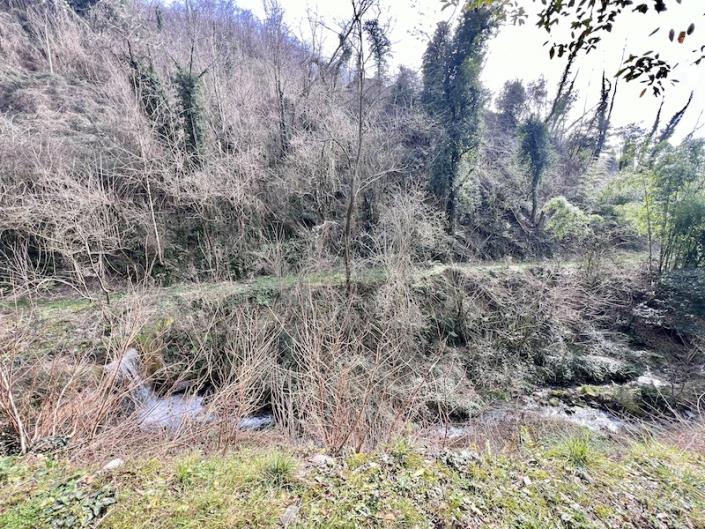 Image No.55-3 Bed House for sale