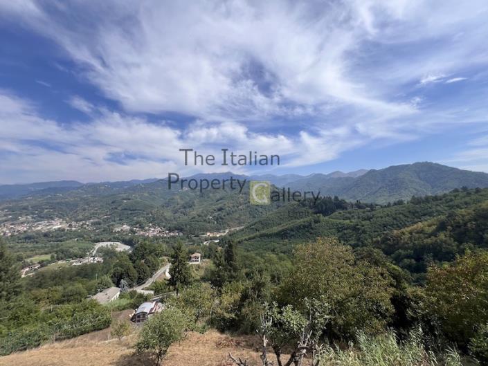 Image No.26-3 Bed House for sale