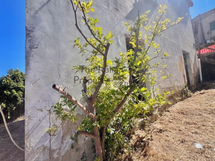 Image No.8-2 Bed House for sale