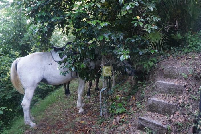 Image No.13-2 Bed House for sale