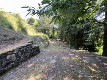 image00019