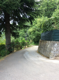 image00003
