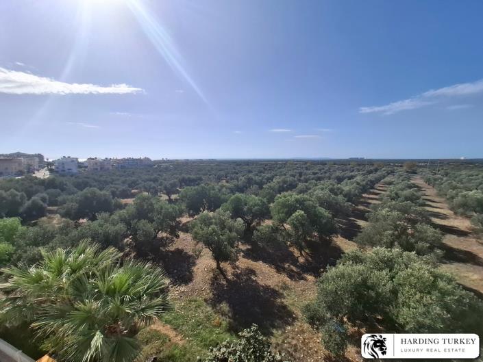 Image No.33-Jumelé de 4 chambres à vendre à Altinkum