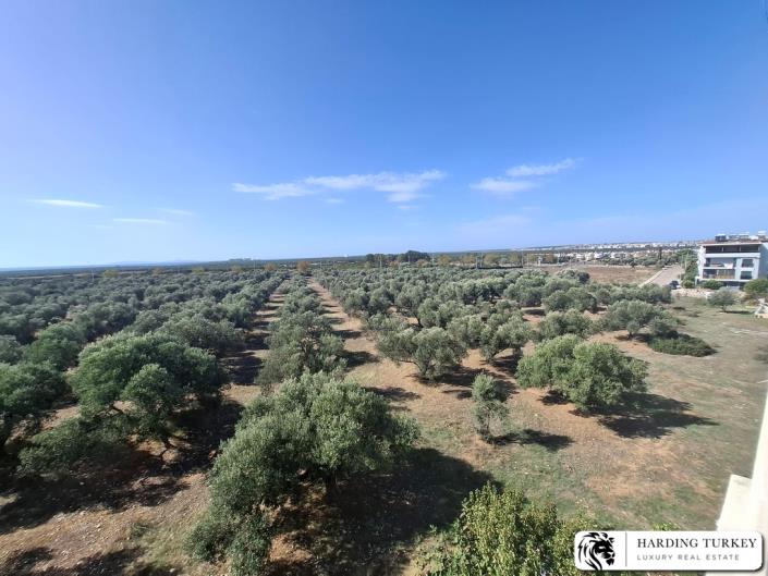 Image No.34-Jumelé de 4 chambres à vendre à Altinkum