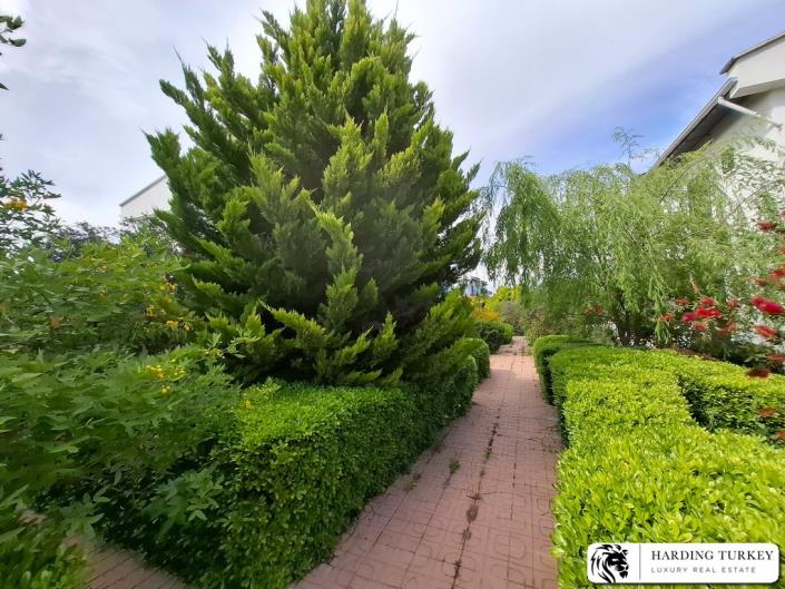 Image No.10-3 Bed Semi-Detached for sale