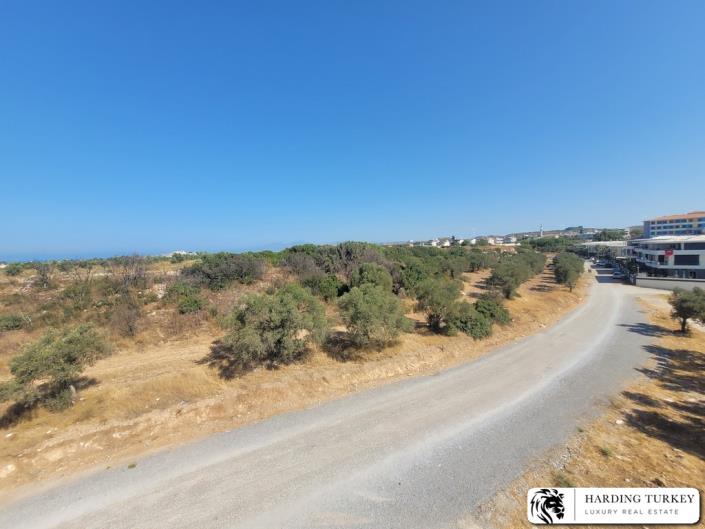 Image No.36-3 Bed Duplex for sale