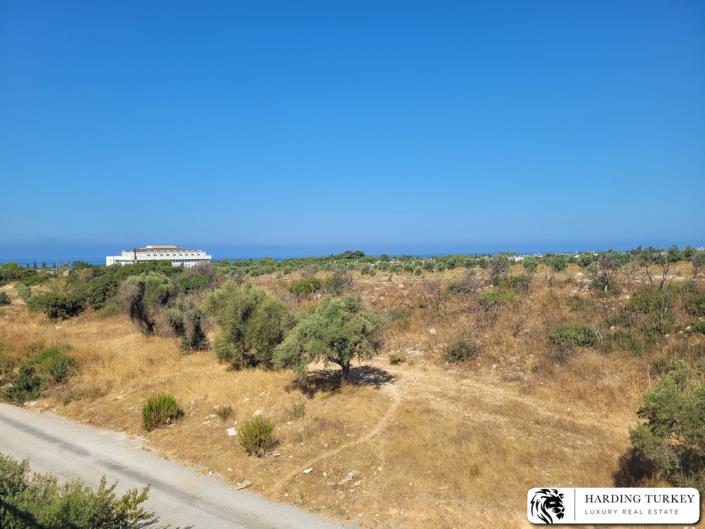 Image No.44-3 Bed Duplex for sale