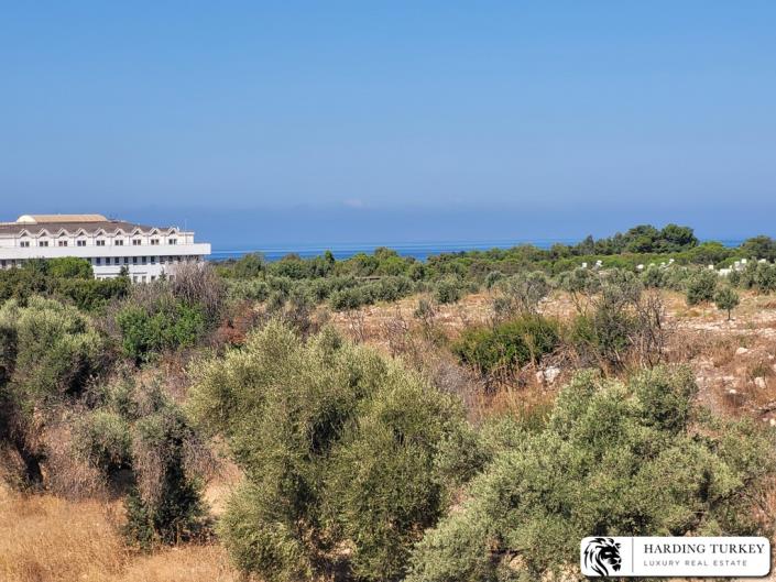 Image No.46-3 Bed Duplex for sale