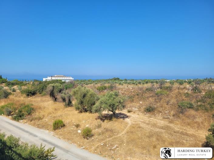 Image No.47-3 Bed Duplex for sale