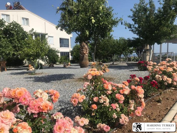 Image No.6-3 Bed Duplex for sale