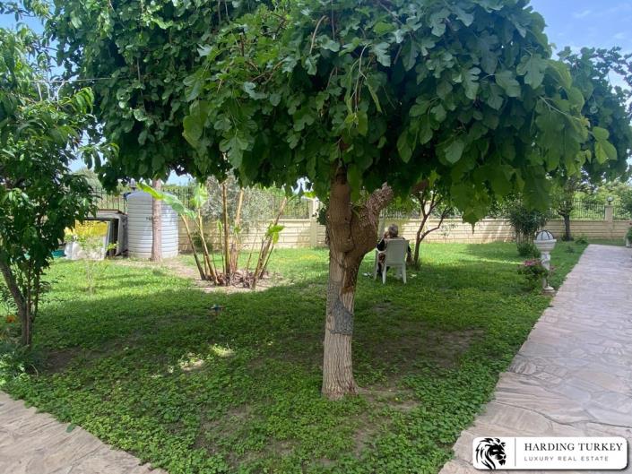 Image No.5-3 Bed Duplex for sale