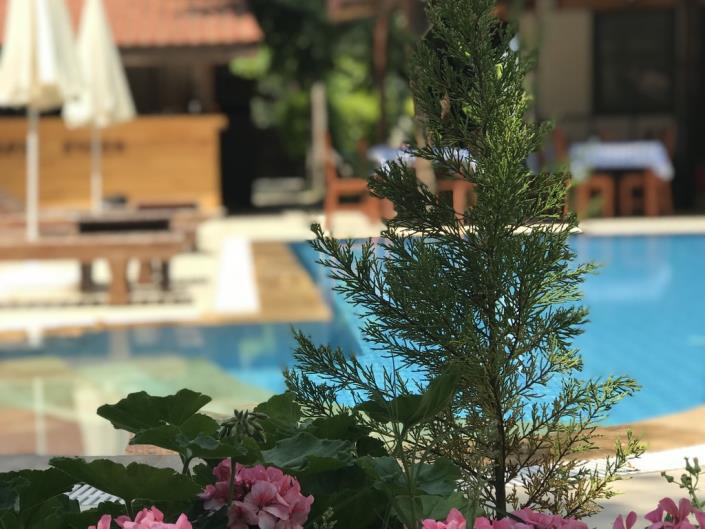 Image No.4-13 Bed Hotel for sale