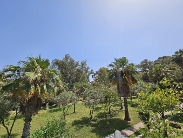 Image No.35-3 Bed House/Villa for sale