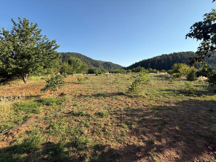 Image No.3-Land for sale