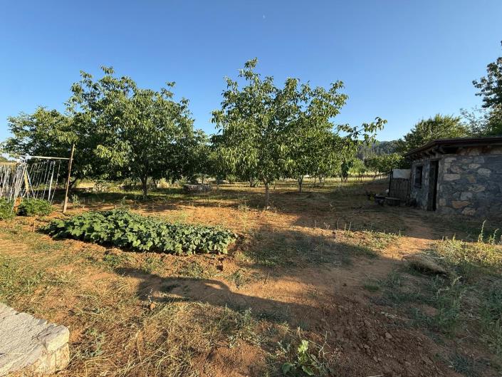 Image No.5-Land for sale