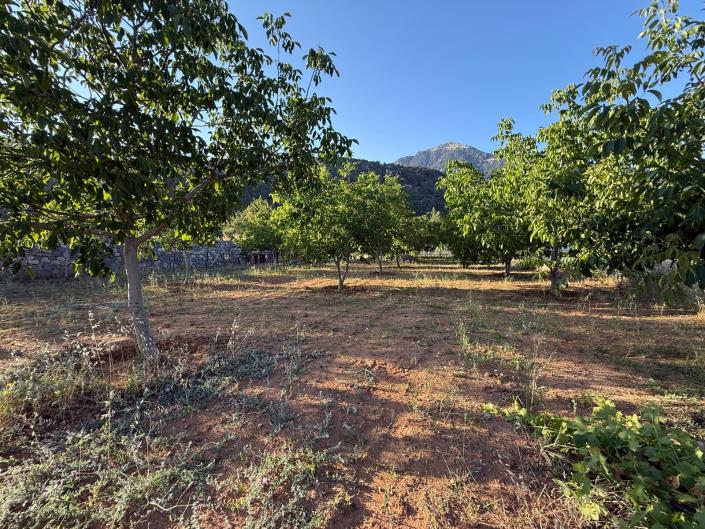 Image No.12-Land for sale