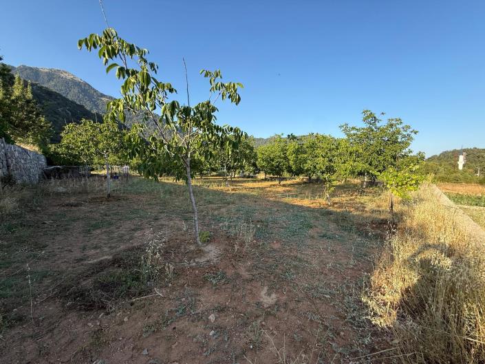 Image No.16-Land for sale