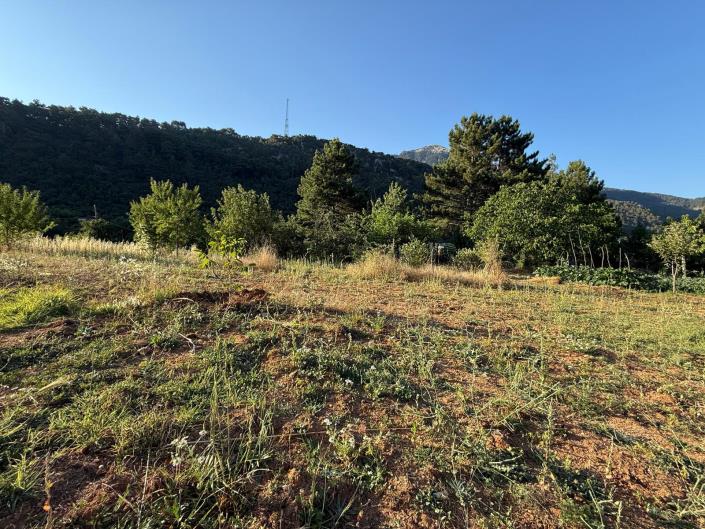 Image No.26-Land for sale