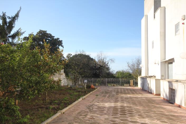 Image No.9-4 Bed Mansion for sale