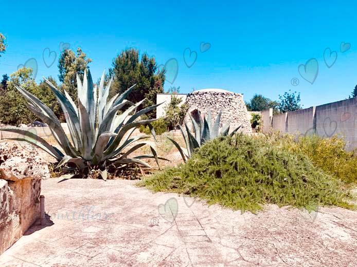 Image No.3-3 Bed Villa / Detached for sale