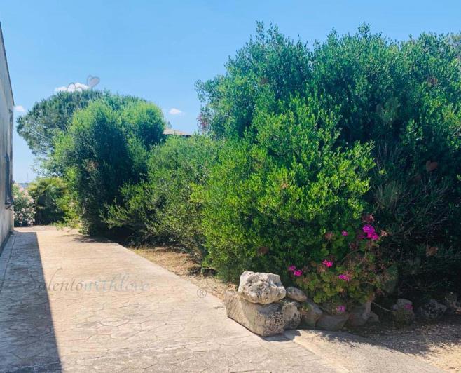 Image No.24-3 Bed Villa / Detached for sale