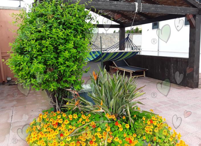 Image No.26-Villa / Détaché de 5 chambres à vendre à Torchiarolo