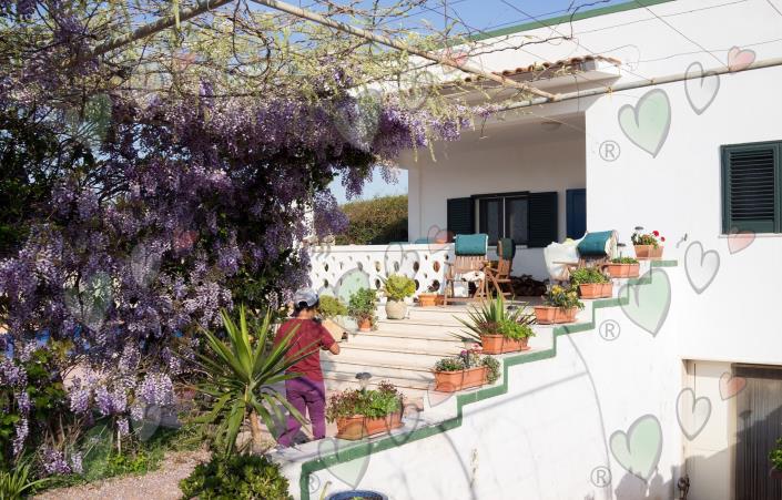 Image No.33-Villa / Détaché de 5 chambres à vendre à Torchiarolo