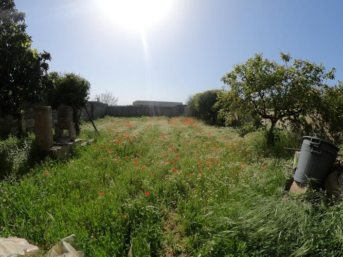 Image No.31-Maison de ville de 2 chambres à vendre à Giurdignano