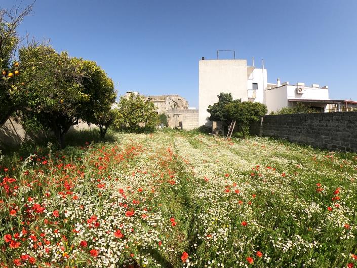 Image No.33-Maison de ville de 2 chambres à vendre à Giurdignano