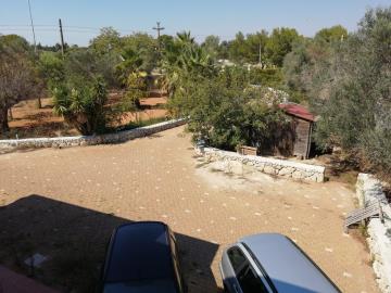 IMG-20211220-WA0023