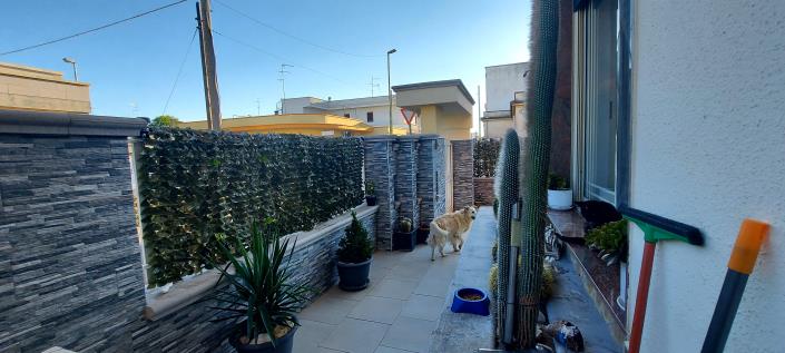 Image No.12-Villa de 2 chambres à vendre à Veglie