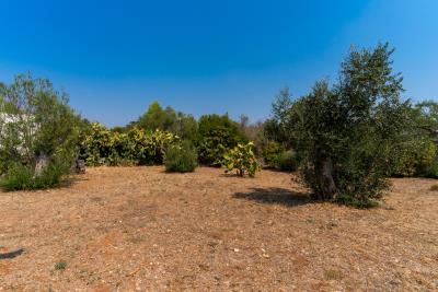 cenate-villa-027