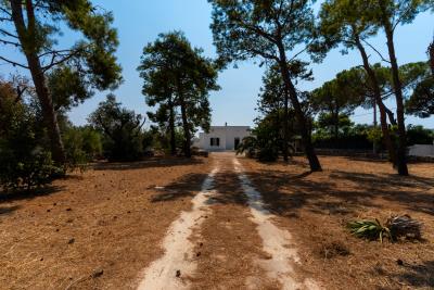 cenate-villa-031