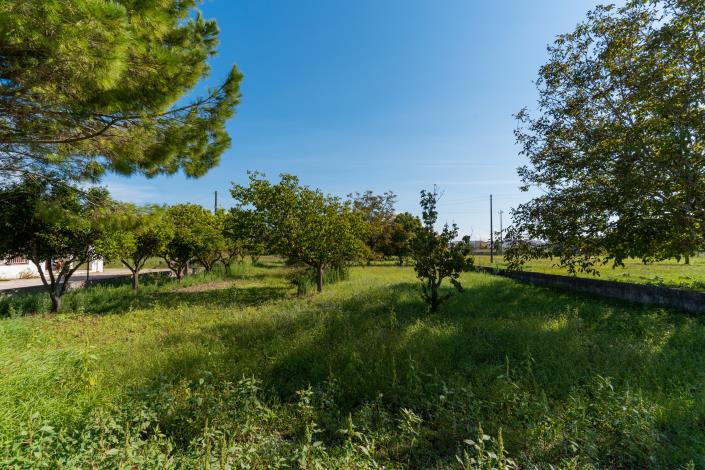 Image No.32-Villa / Détaché de 2 chambres à vendre à Cutrofiano