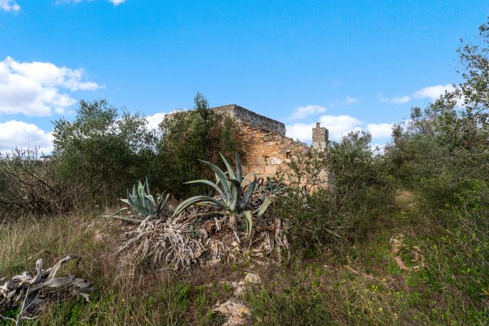 Image No.6-Country Property for sale