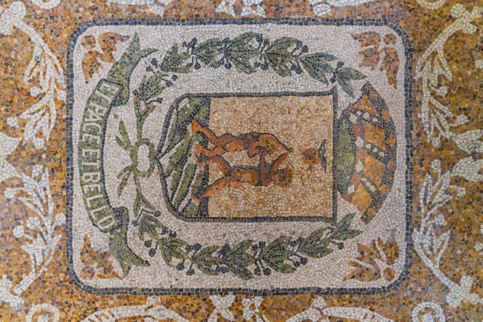 Image No.50-8 Bed Mansion for sale