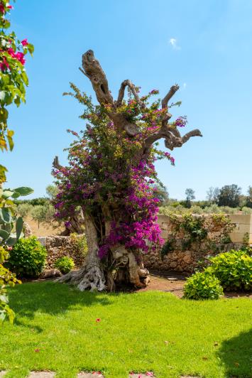 Image No.57-5 Bed Villa / Detached for sale