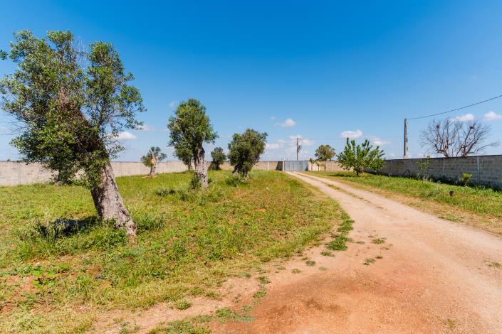 Image No.16-Villa / Détaché de 2 chambres à vendre à Galatina