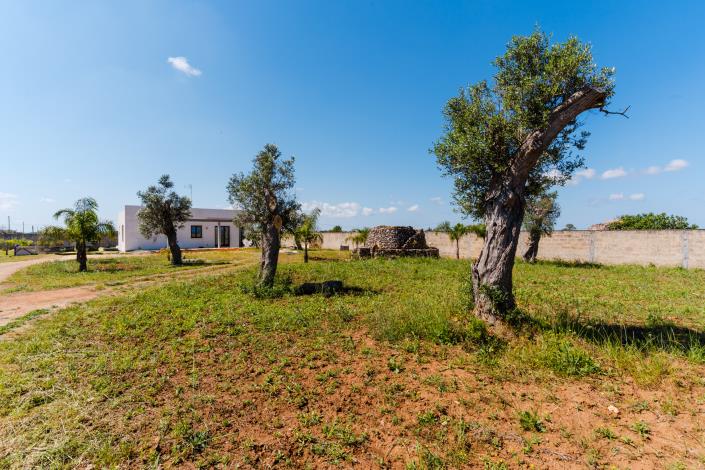 Image No.17-Villa / Détaché de 2 chambres à vendre à Galatina