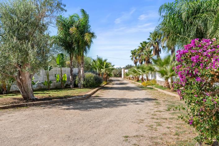 Image No.5-Maison / Villa de 4 chambres à vendre à Alliste