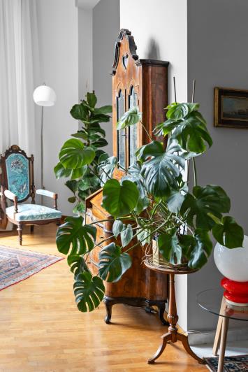 Image No.56-Appartement de 3 chambres à vendre à Galatone